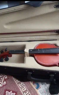 ویلن3/4