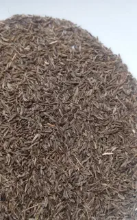 فروش زیره