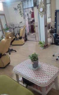 جذب نیروی حرفه ای