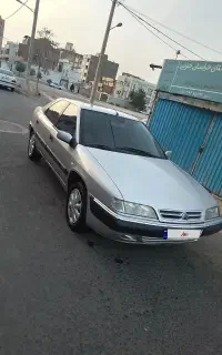 زانتیا زیرخاکی