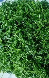 سبزی قرمه سبزی