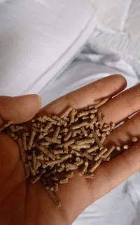 خوراک بچه ماهی پلت