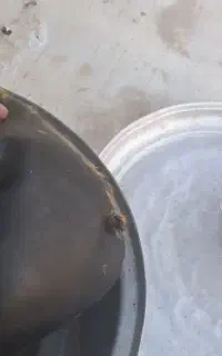 روغن دان گاوی خوش عطر و خوش بو