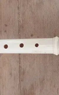 فلوت