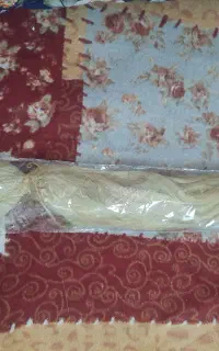 مو دو سر باز