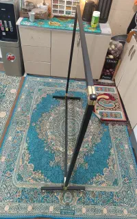 رگال در حد نو