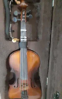ویولن