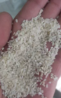 برنج نیم دانه طارم هاشمی عطری خالص