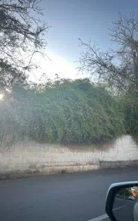 آشپز جهت همکاری در مزرعه دشت نمدان