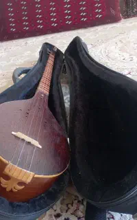 سه تار مرغوب با کاور مرغوب
