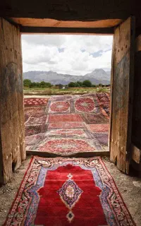 قالیشویی اعلاء      مبل شویی و سمپاشی