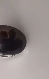 انگشترشجردس ساز