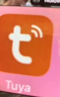بوقلمون زنده ارگانیک