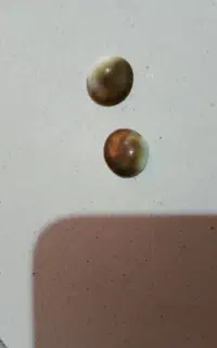 اصل