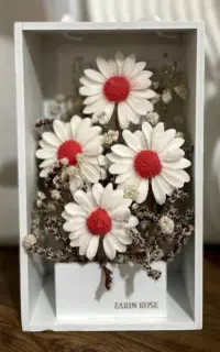 باکس گل بابونه