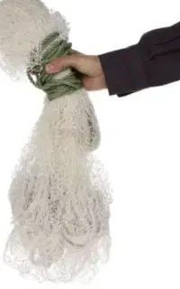 تور ماهیگیری