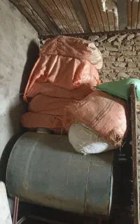 یونجه‌