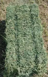 کاه ویونجه