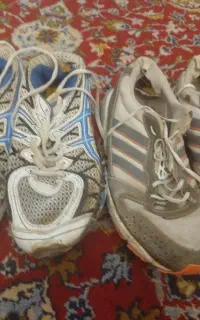 کفش کار