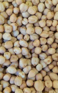 نخودکرمانشاهی بذری تازه چین زودپز کیلویی۲۰۰
