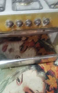 اجاق گاز فر دار ایمن گاز  5شعله