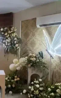 بال پروانه
