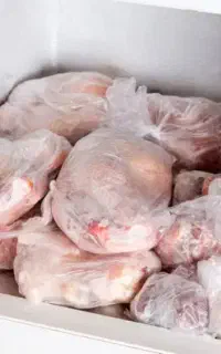 مرغ واکسینه رد وزارت بهداشت غذای سگ اسکلت تلفات