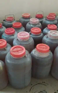 عسل مرکبات و جنگل درجه یک عمده