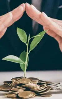 سرمایه
