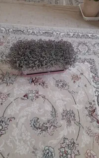 گل چمن عروس وسنگین زیبا
