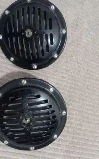 گل باغچه