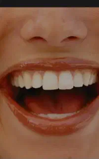 نوبت تامین اجتماعی