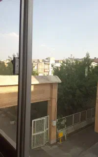 خبر فوری