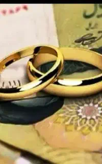 ضامن هستم