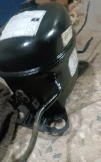 موتور نو دانفووس