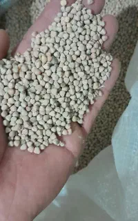 گاودانه