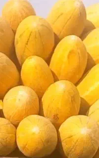 خربزه درجه یک