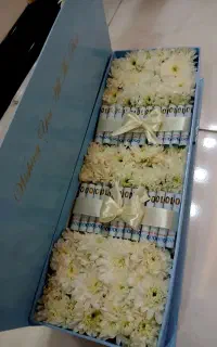 گل ارایی و بادکنک ارایی و کرایه