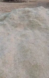 کاه‌گندم‌نرم‌کمپاین‌فروشی‌کیلو10هزارتومان
