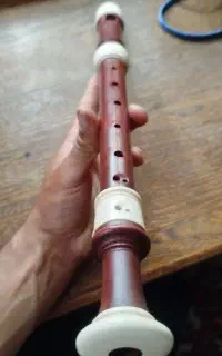 فلوت