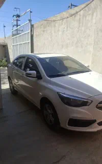 شاهین دنده ای