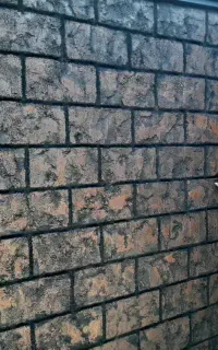 سیمانکاری حرفه ای فقط طرح دار رنگ امیزی