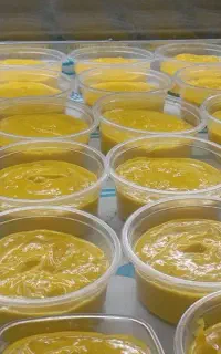خورشت ماست طعم ماندگار