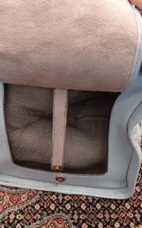 حمل کیف سگ