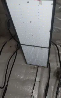 گلخانه،لامپ رشد،دستگاه بخار