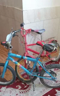 دو عدد دوچرخه 16