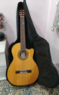گیتار AK80CE