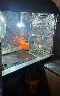 فر ساندویچ