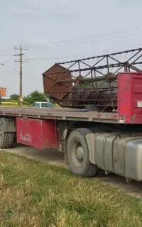 کفی ماموت