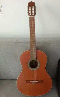 گیتار پارسی مدل m5